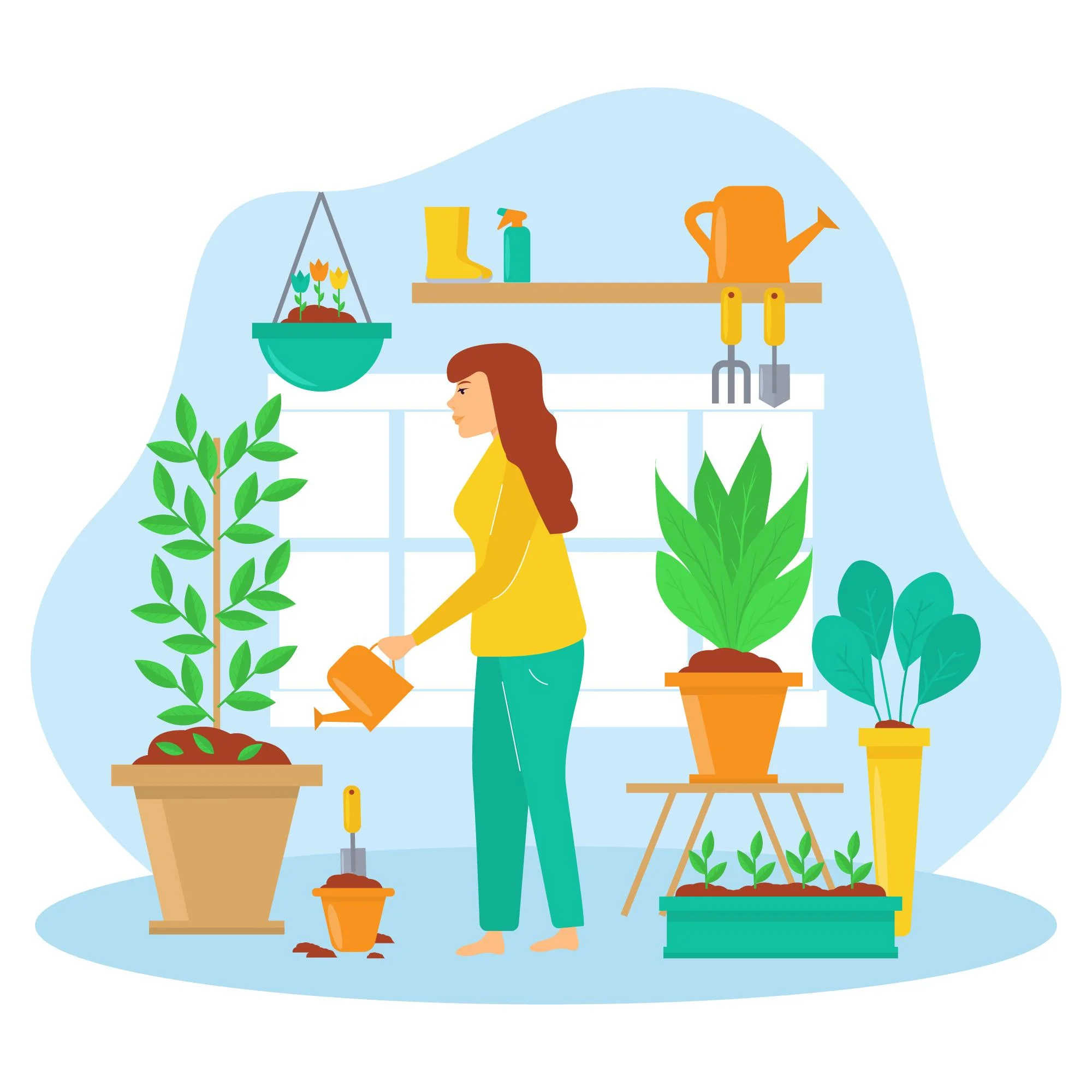 A Step-by-Step Guide to Growing Your Own Vegetables at Home A Step-by-Step Guide to Growing Your Own Vegetables at Home